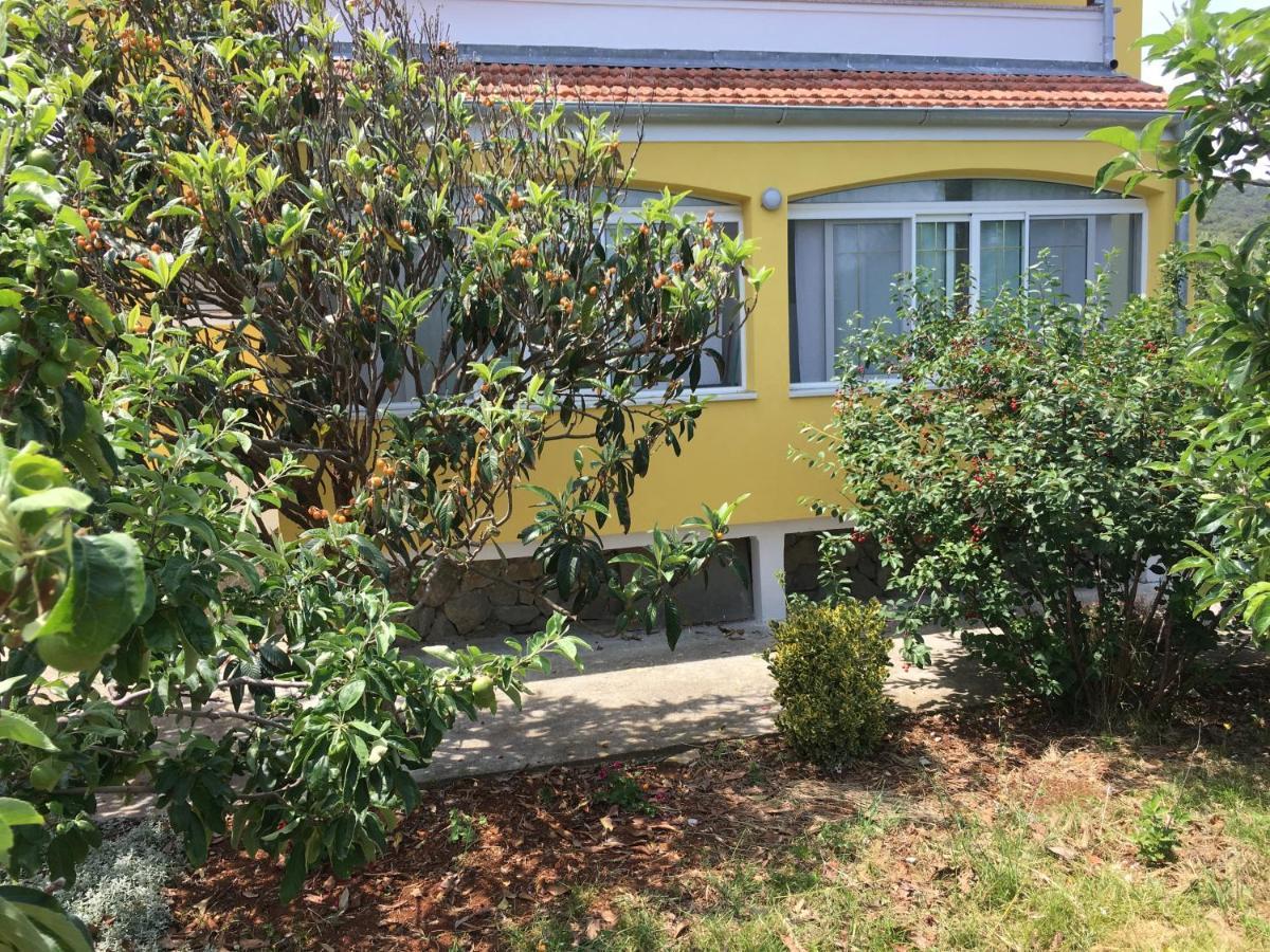 Apartments With A Parking Space Bozava, Dugi Otok - 8108 Zewnętrze zdjęcie