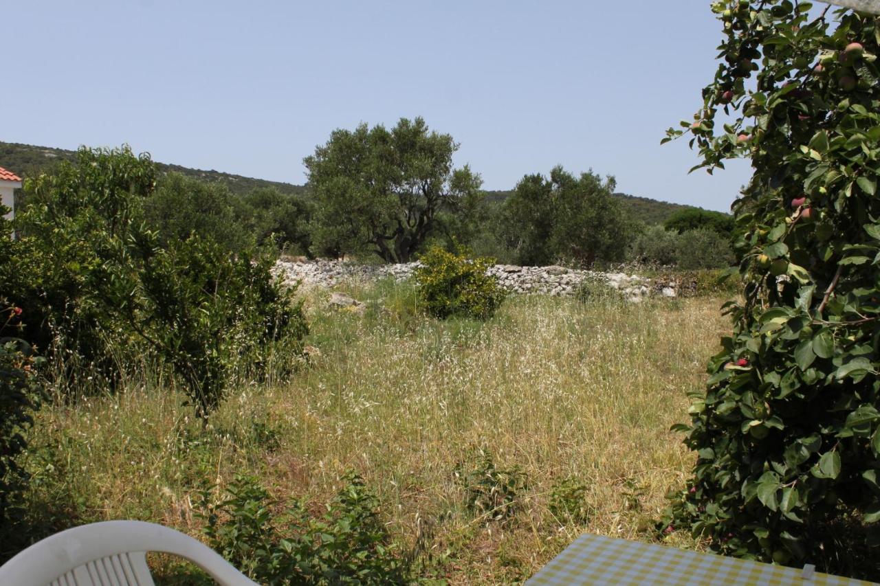 Apartments With A Parking Space Bozava, Dugi Otok - 8108 Zewnętrze zdjęcie